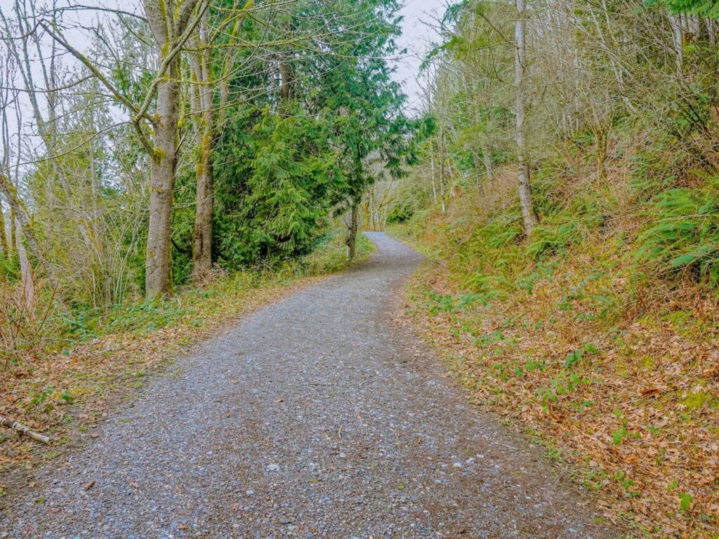 Gravel walking trail through green trees similar to Bothell's river trails